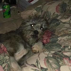 Meet your Posher, Janet